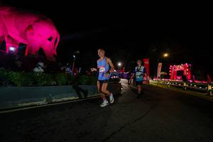 BIB: 
                            <button type="button" onclick="openModal(26552603)" class="btn btn-primary btn-sm float-right btn-popup" data-toggle="modal" data-target=".modal-high-quality">
                        <i class="fas fa-shopping-cart"></i> Add to Cart
                    </button>
                                            <button type="button" onclick="isThisMe(26552603, true)" class="btn btn-success btn-sm float-right btn-popup btn-isme hidden" data-toggle="tooltip" data-placement="bottom" title="นี่คือรูปของคุณใช่ไหม คลิกที่นี่เพื่อเอาเข้าอัลบั้ม">
                        <i class="fas fa-plus"></i> Add to album
                    </button>
                    <button type="button" onclick="isThisMe(26552603, false)" class="btn btn-warning btn-sm float-right btn-popup btn-isnotme hidden">
                        <i class="fas fa-ban"></i> Remove from album
                    </button>